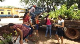 Cerca de 300 universitários participam de trote ecológico em Guaraí