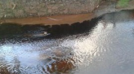 Prefeitura realiza retirada de todo material químico no Córrego Neblina