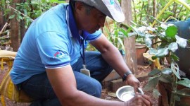 Araguaína registra redução em casos de dengue e calazar