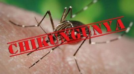 Pró-Saúde realiza treinamento sobre a febre Chikungunya