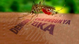 A propagação do Zika Vírus