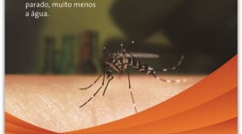 Energisa, parceira na luta contra o mosquito Aedes Aegypti