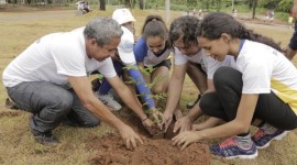 Iniciada Campanha de Arborização ‘Plante uma Árvore no Parque Cimba’