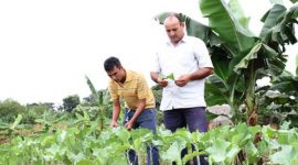 Ruraltins comemora 27 anos de serviços prestados aos agricultores familiares