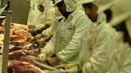 JBS reativará unidade industrial de carne bovina em Araguaína