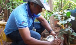 Casos de Dengue crescem quase 20% em uma semana e Prefeitura convoca mais agentes de Saúde e de Combate a Endemias