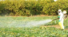 Sindicato Rural de Araguaína apoia conscientização de proteção ao Meio Ambiente 