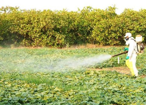 Sindicato Rural de Araguaína apoia conscientização de proteção ao Meio Ambiente 