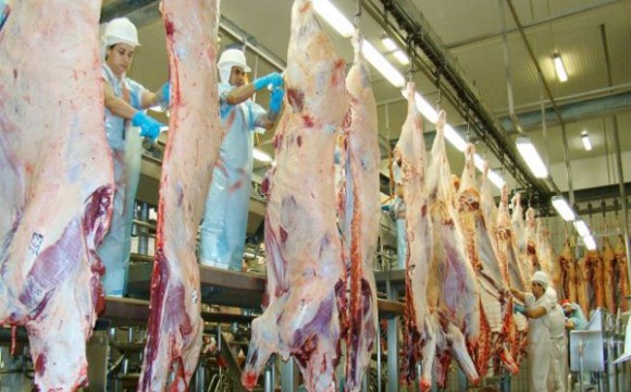 Em Araguaína, Friboi abate quase 17 mil animais e movimenta mercado da carne no Tocantins