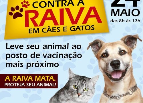 Prefeitura disponibiliza 50 postos de vacinação para campanha anti-Rábica