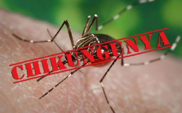Pró-Saúde realiza treinamento sobre a febre Chikungunya