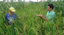 Sustentabilidade será tema de seminário em Araguaina