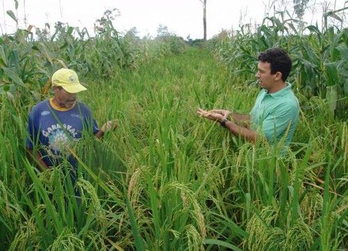 Sustentabilidade será tema de seminário em Araguaina