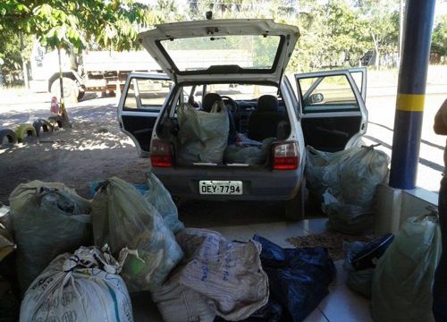 Homem é preso após tentar subornar policiais militares em Araguaína