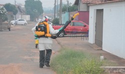Araguaína tem três óbitos confirmados pela Dengue