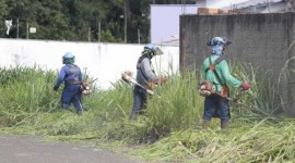 Para evitar proliferação do Aedes, Prefeitura realizará limpeza de lotes baldios