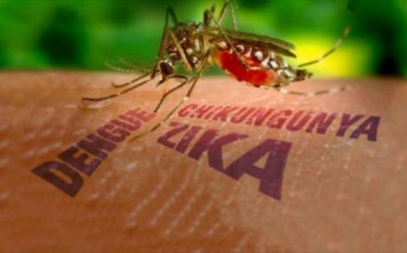 A propagação do Zika Vírus