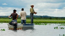 Procura por Carteirinhas de Pesca dobrou com emissão online no Tocantins