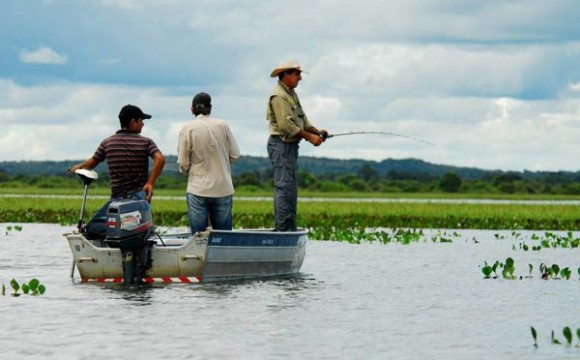 Licença de pesca pode ser solicitada no site do Naturatins