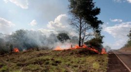 Tocantins suspende autorização de queima controlada durante estiagem