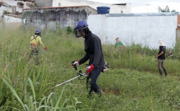 Prefeitura de Araguaína inicia limpeza de lotes baldios