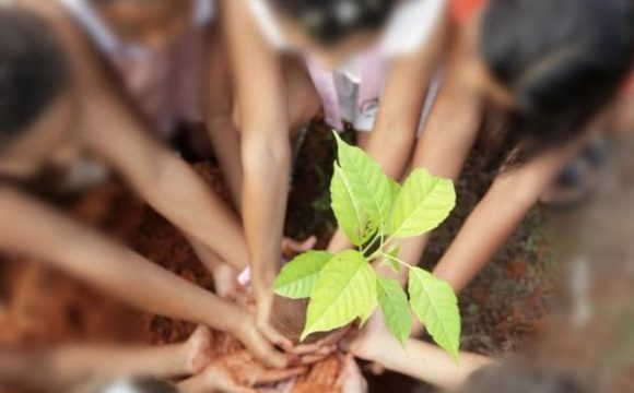 Estudantes participam de ações de conscientização na Semana Mundial da Água