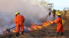 Brigadistas municipais auxiliam Corpo de Bombeiros no combate aos incêndios