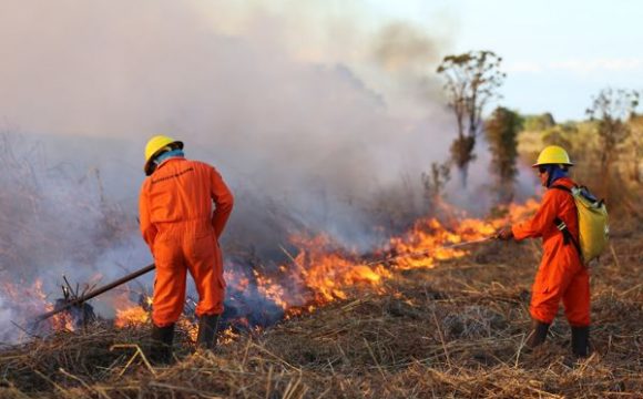 Brigadistas municipais auxiliam Corpo de Bombeiros no combate aos incêndios