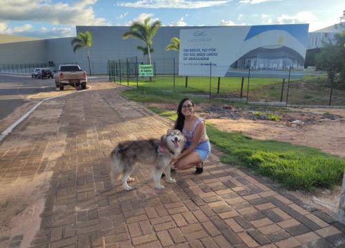 Lago Center Shopping de Araguaína vai permitir a entrada de animais de estimação