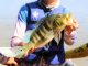 8º Torneio Araguaína de Pesca Esportiva será realizado nos dias 4 e 5 de julho
