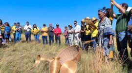 Festa da Colheita celebra tradição e sustentabilidade no Jalapão