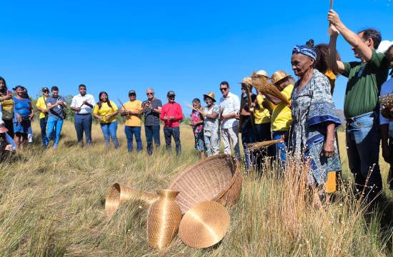 Festa da Colheita celebra tradição e sustentabilidade no Jalapão