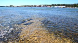 Sebrae leva capacitações a mais de 30 cidades para fortalecer negócios na temporada de praia