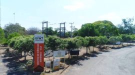 UFNT amplia formação no campo das Ciências Agrárias com oferta do curso de Agronomia