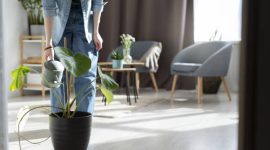 Calor do Tocantins exige projetos mais inteligentes em casas e apartamentos